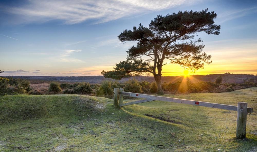 The Knightwood Oak A Luxury King Size En-Suite Space - Lymington New Forest With Totally Private Entrance - Key Box Entry - Free Parking & Private Outdoor Seating Area - Town ,Shops , Pubs & Solent Way Walking Distance & Complimentary Breakfast Items Extérieur photo